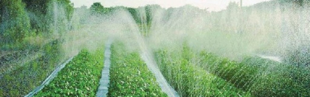 &Epsilon;&Xi;&Alpha;&Rho;&Tau;&Eta;&Mu;&Alpha;&Tau;&Alpha;